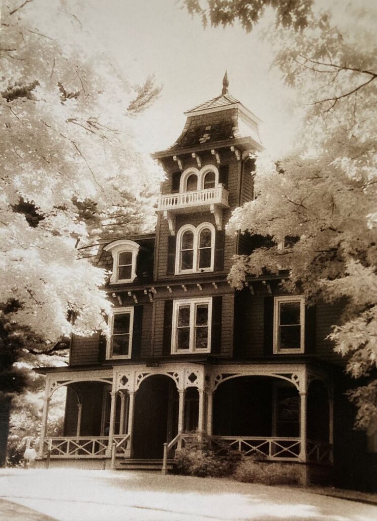 The house framed in between flowers.
